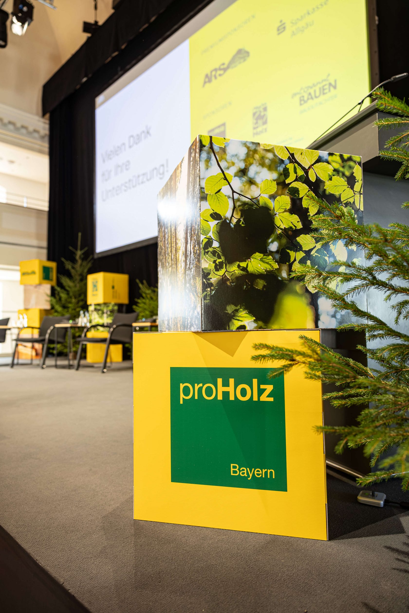 Würfel mit Sponsor ProHolz